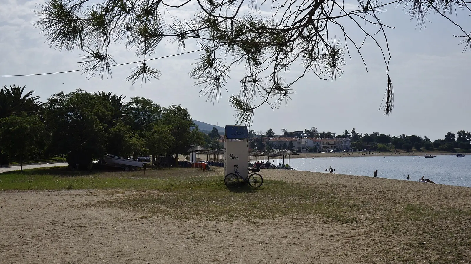 Cove with pine trees in Halkidiki